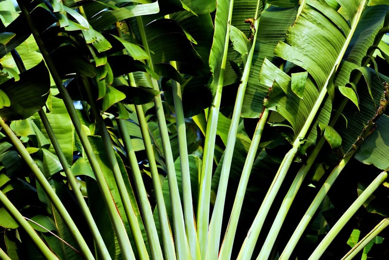 Eco-Friendly Gathering
